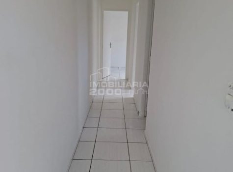 05 editada