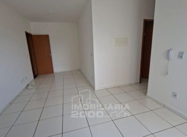 13 editada
